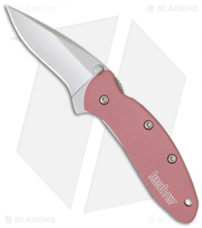 Kershaw Chive Assisted Opening Knife Navy Blue (1.94" Stonewash) 1600NBSW